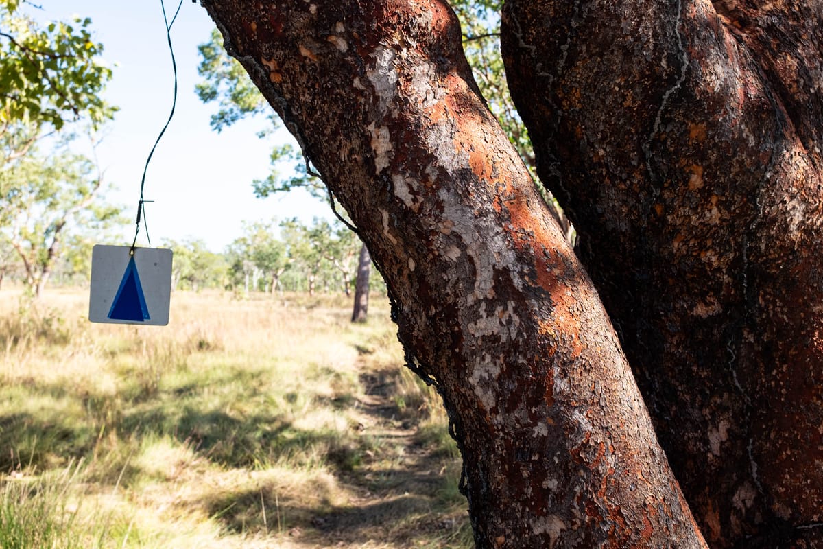Jatbula Trail Wrap Up